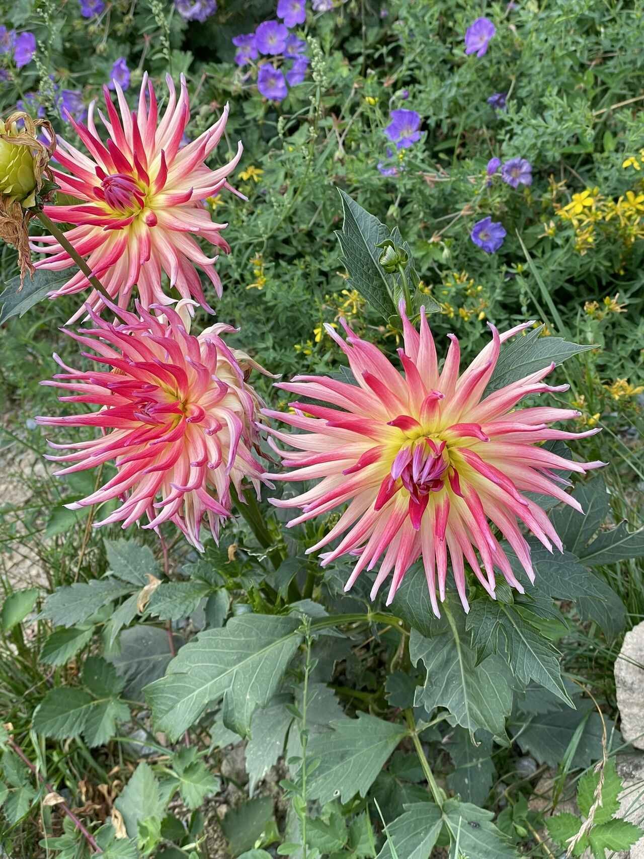 Chateau de la Rosemontoise -  Organiser une séminaire, conférence ou un événement privé