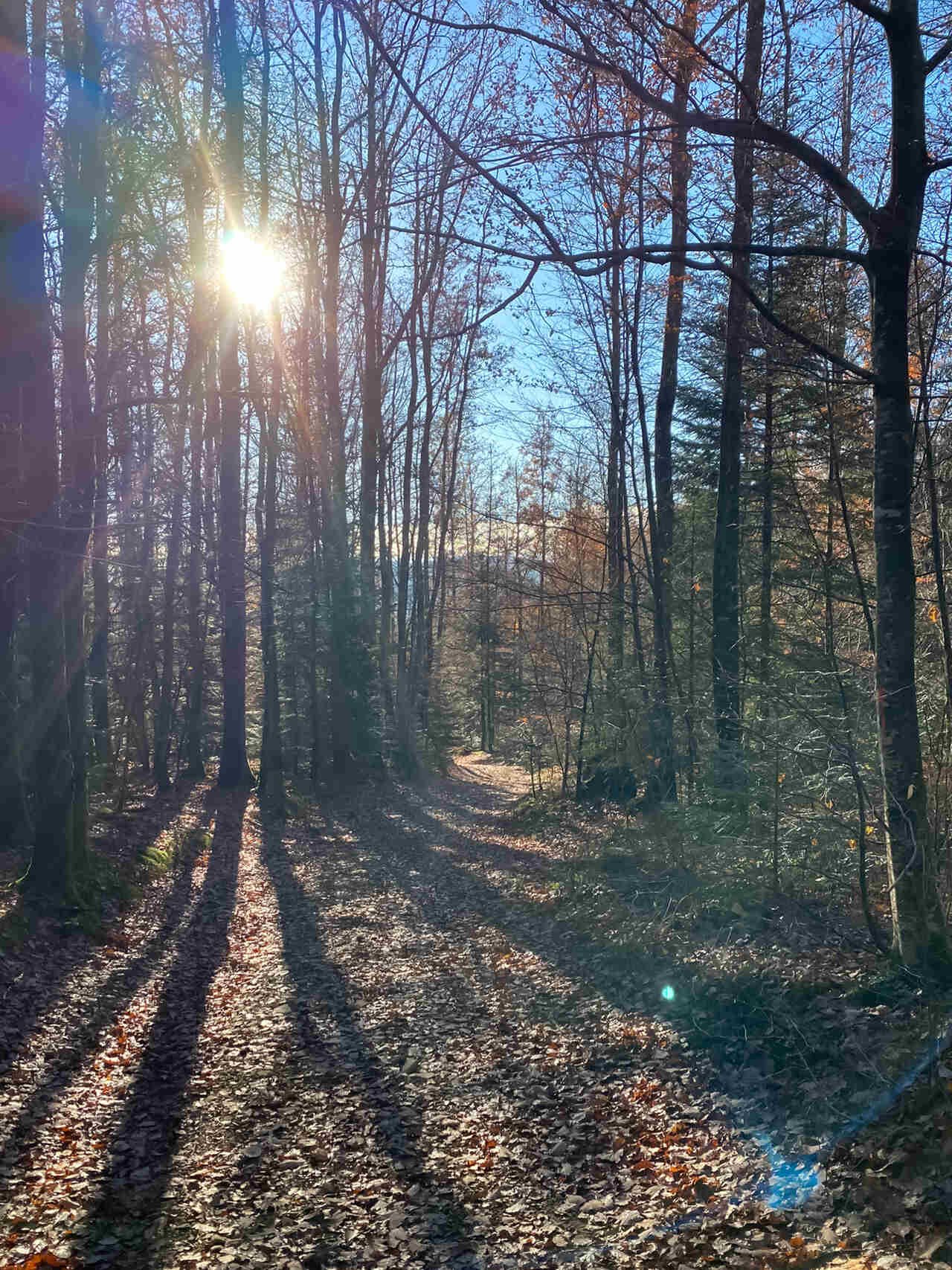 Chateau de la Rosemontoise -  seminair, conference, events