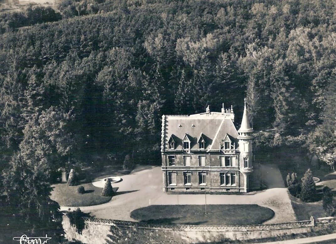 Château de la Rosemontoise - Vosges, l'histoire
